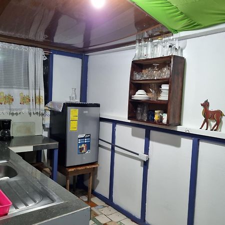 Hotel Wildlife Art Tortuguero Zewnętrze zdjęcie