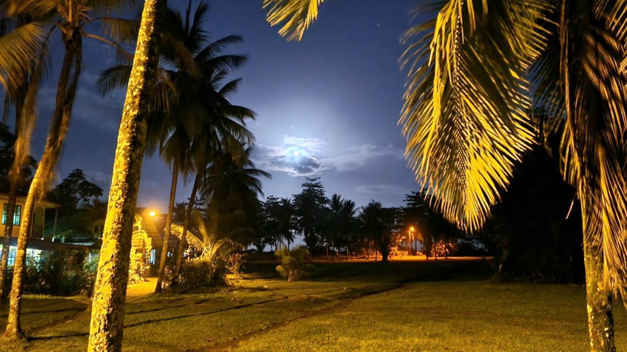 Hotel Wildlife Art Tortuguero Zewnętrze zdjęcie