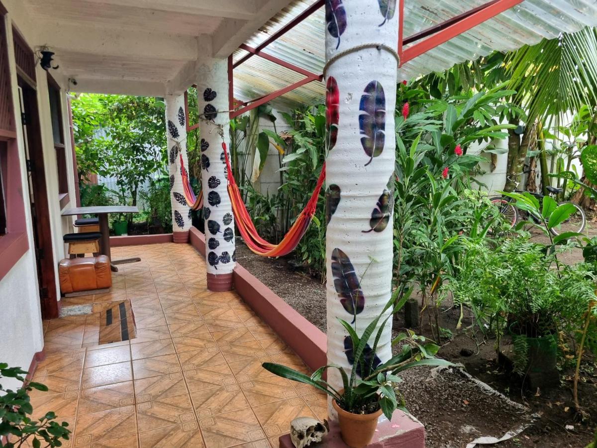Hotel Wildlife Art Tortuguero Zewnętrze zdjęcie