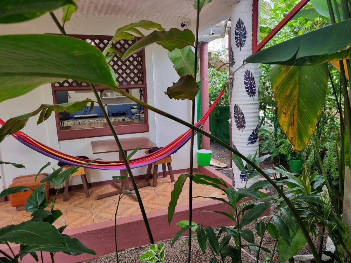 Hotel Wildlife Art Tortuguero Zewnętrze zdjęcie