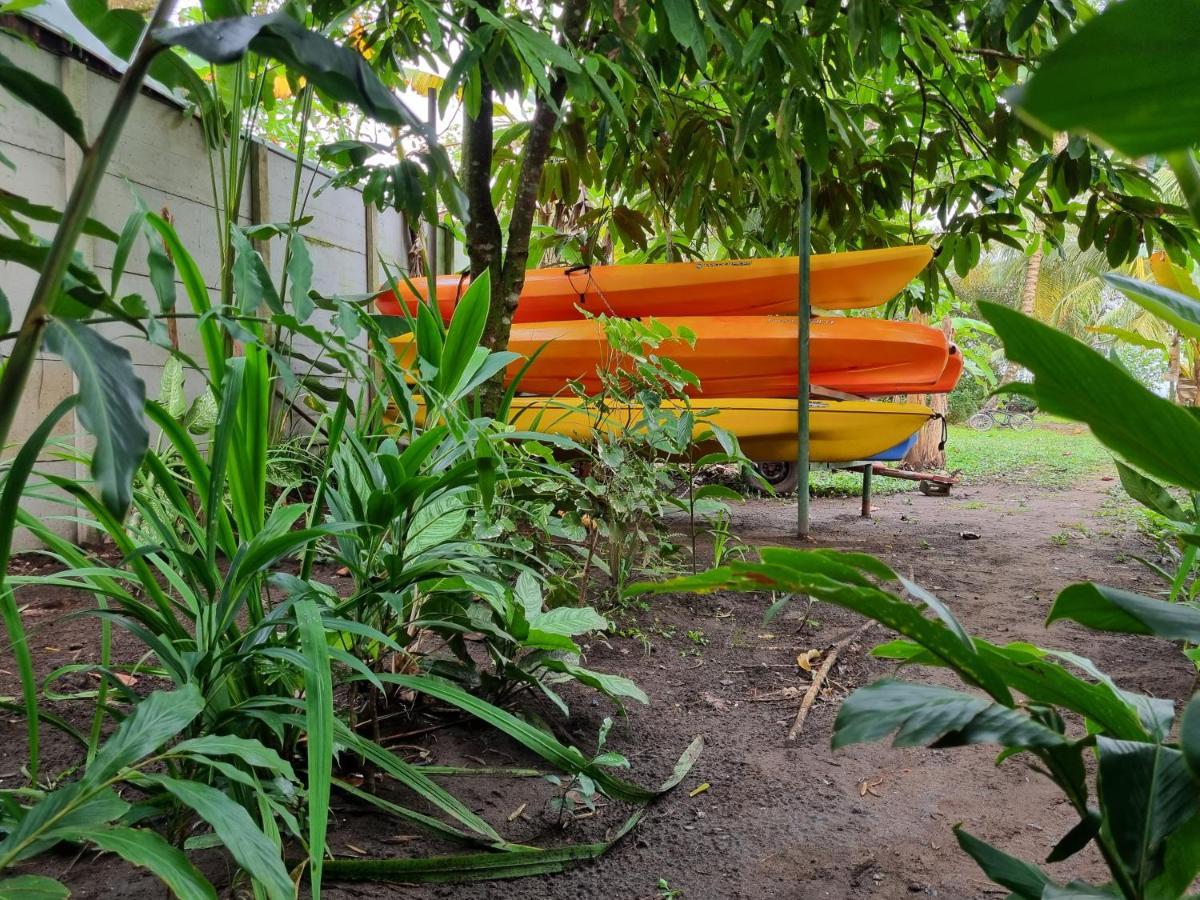 Hotel Wildlife Art Tortuguero Zewnętrze zdjęcie