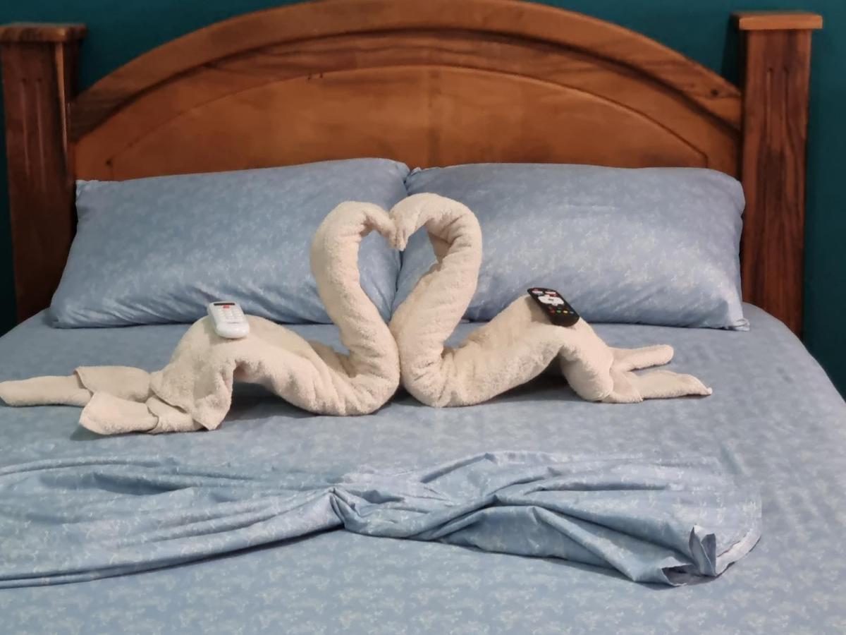 Hotel Wildlife Art Tortuguero Zewnętrze zdjęcie