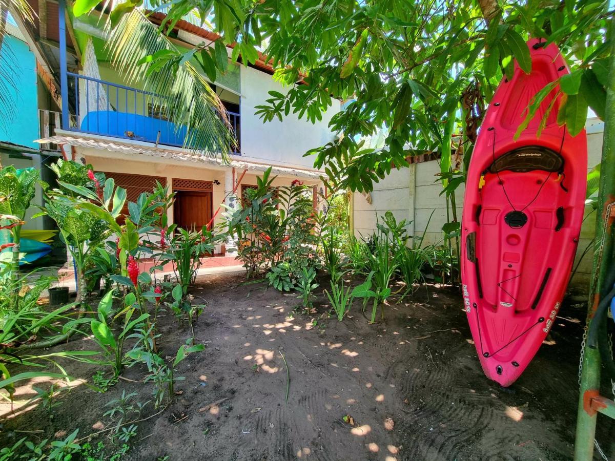 Hotel Wildlife Art Tortuguero Zewnętrze zdjęcie