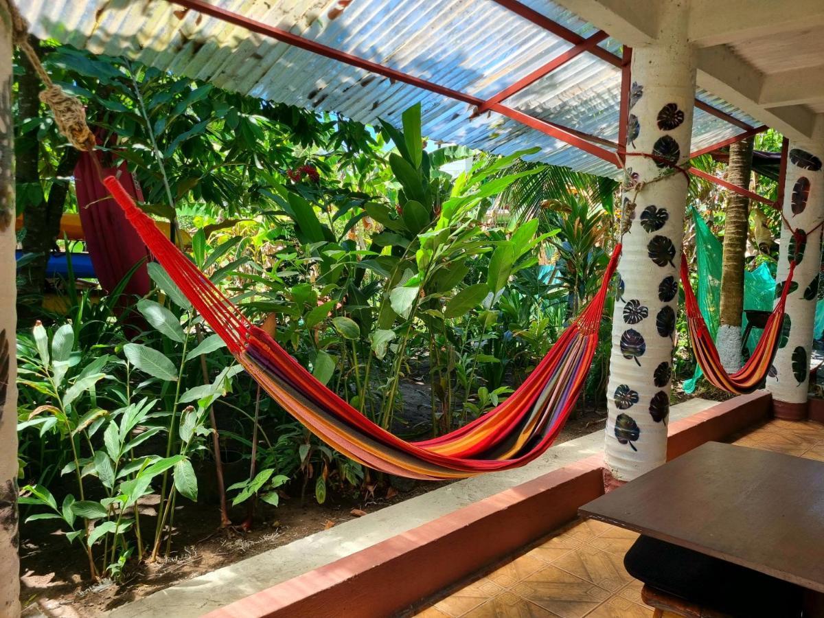 Hotel Wildlife Art Tortuguero Zewnętrze zdjęcie