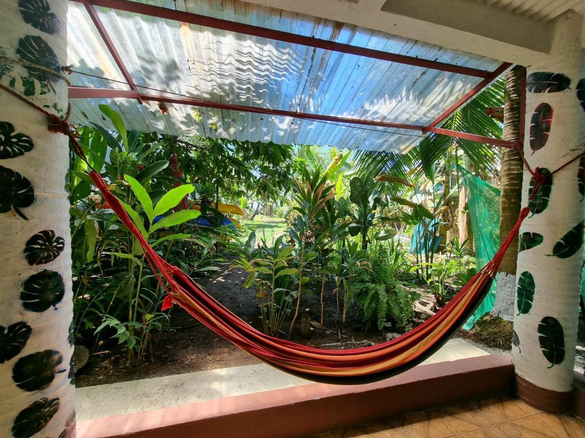 Hotel Wildlife Art Tortuguero Zewnętrze zdjęcie