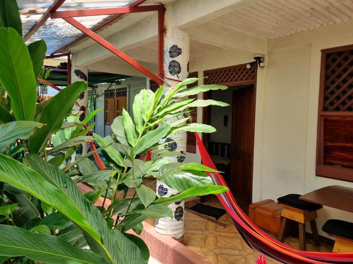 Hotel Wildlife Art Tortuguero Zewnętrze zdjęcie