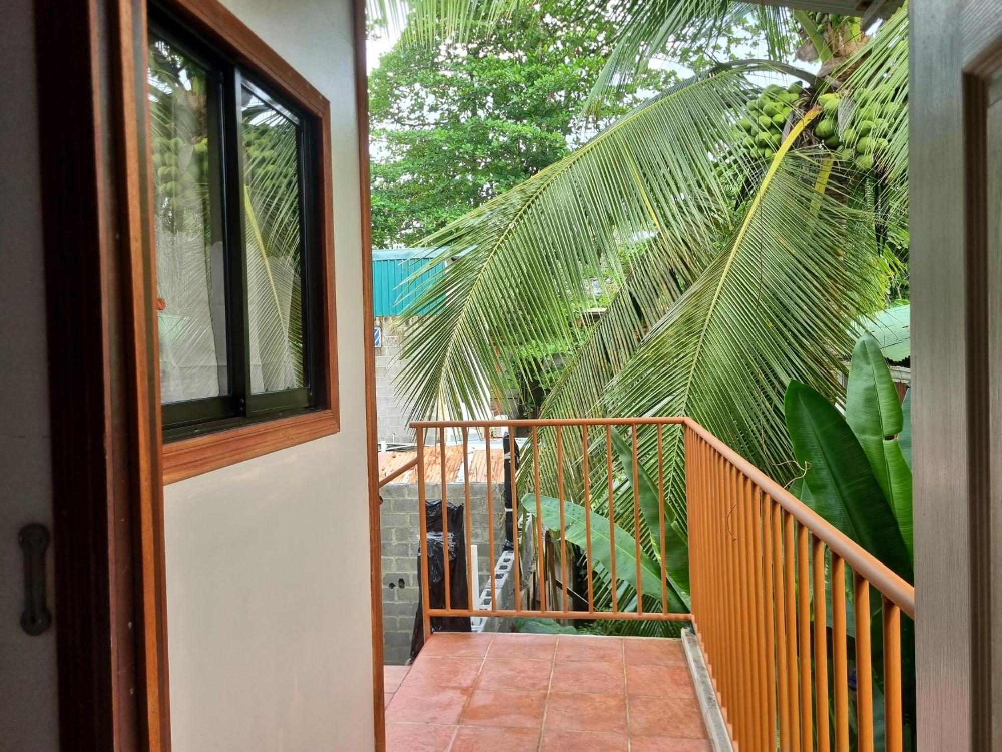 Hotel Wildlife Art Tortuguero Zewnętrze zdjęcie