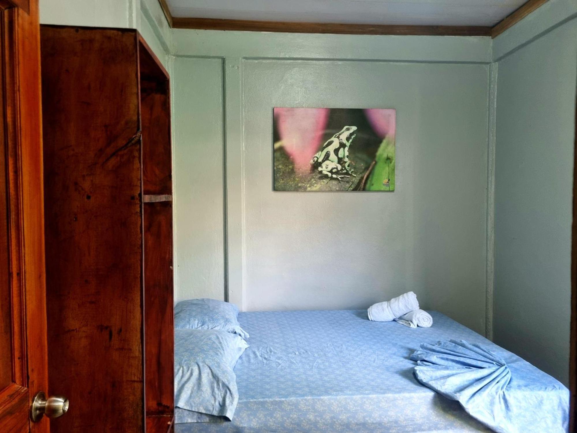 Hotel Wildlife Art Tortuguero Zewnętrze zdjęcie