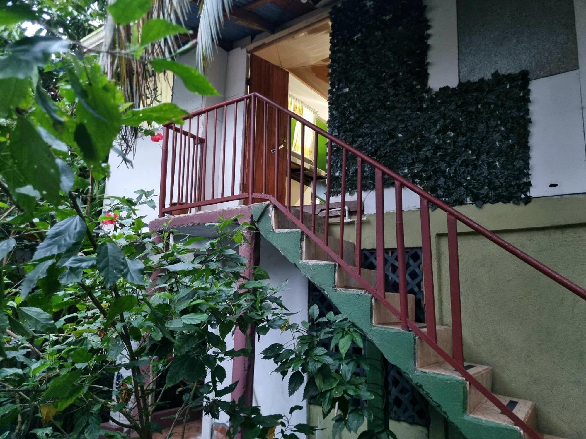 Hotel Wildlife Art Tortuguero Zewnętrze zdjęcie