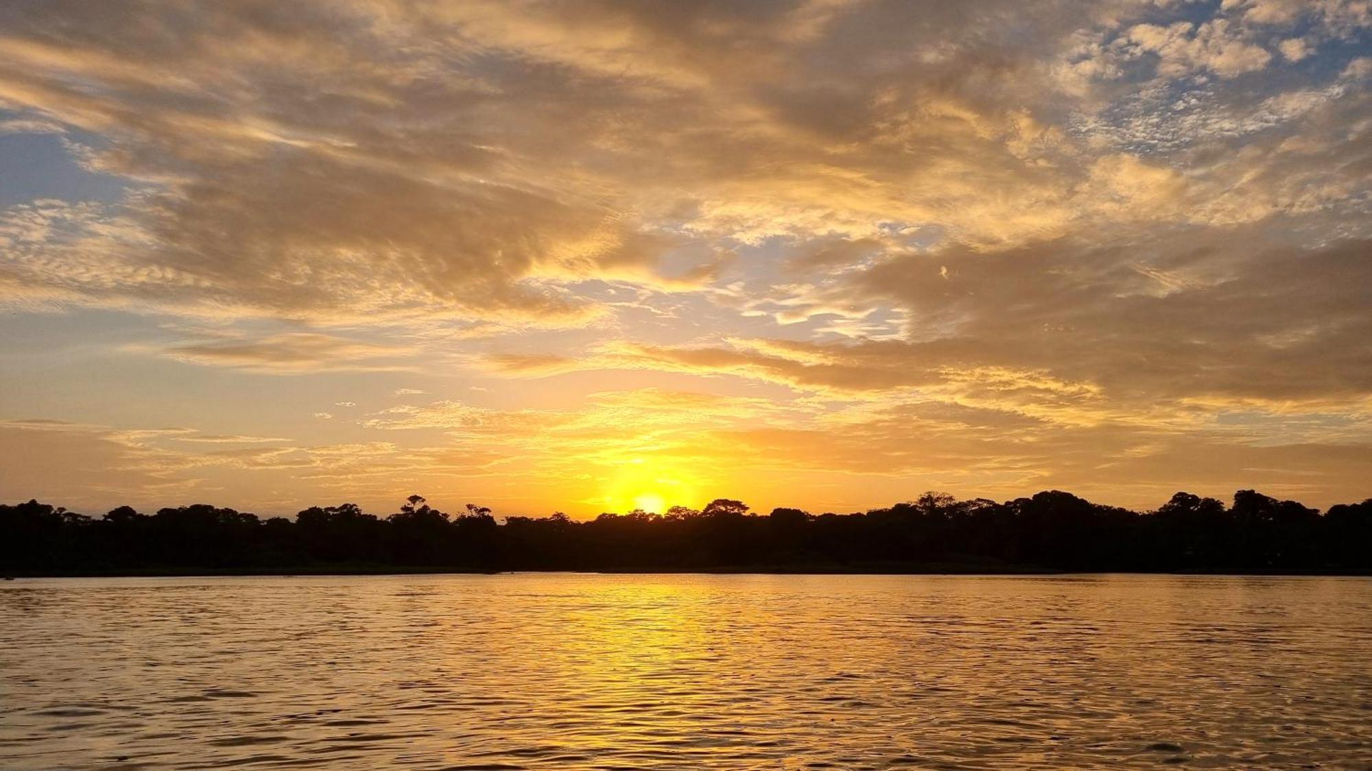 Hotel Wildlife Art Tortuguero Zewnętrze zdjęcie
