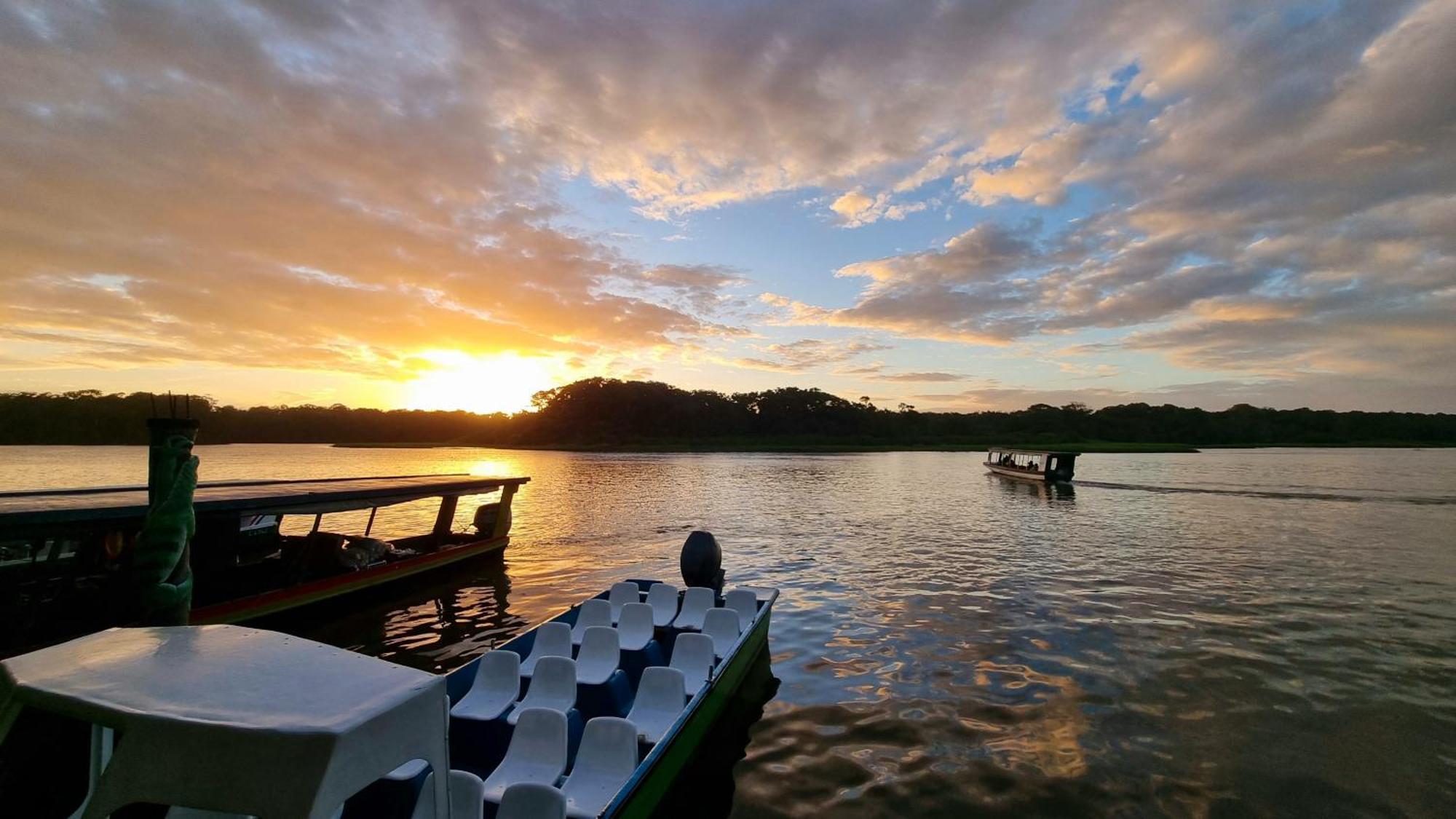 Hotel Wildlife Art Tortuguero Zewnętrze zdjęcie
