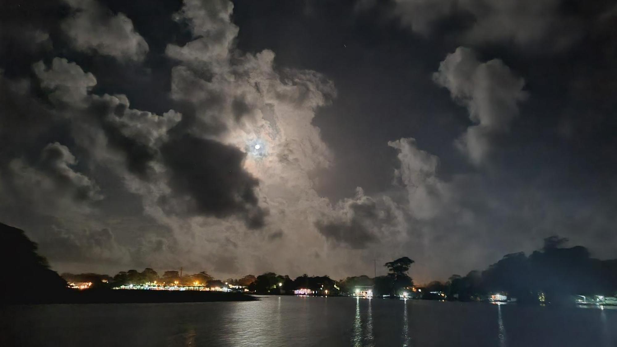 Hotel Wildlife Art Tortuguero Zewnętrze zdjęcie