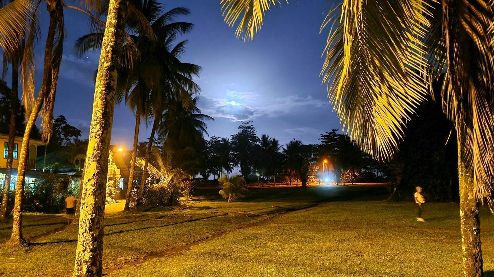 Hotel Wildlife Art Tortuguero Zewnętrze zdjęcie