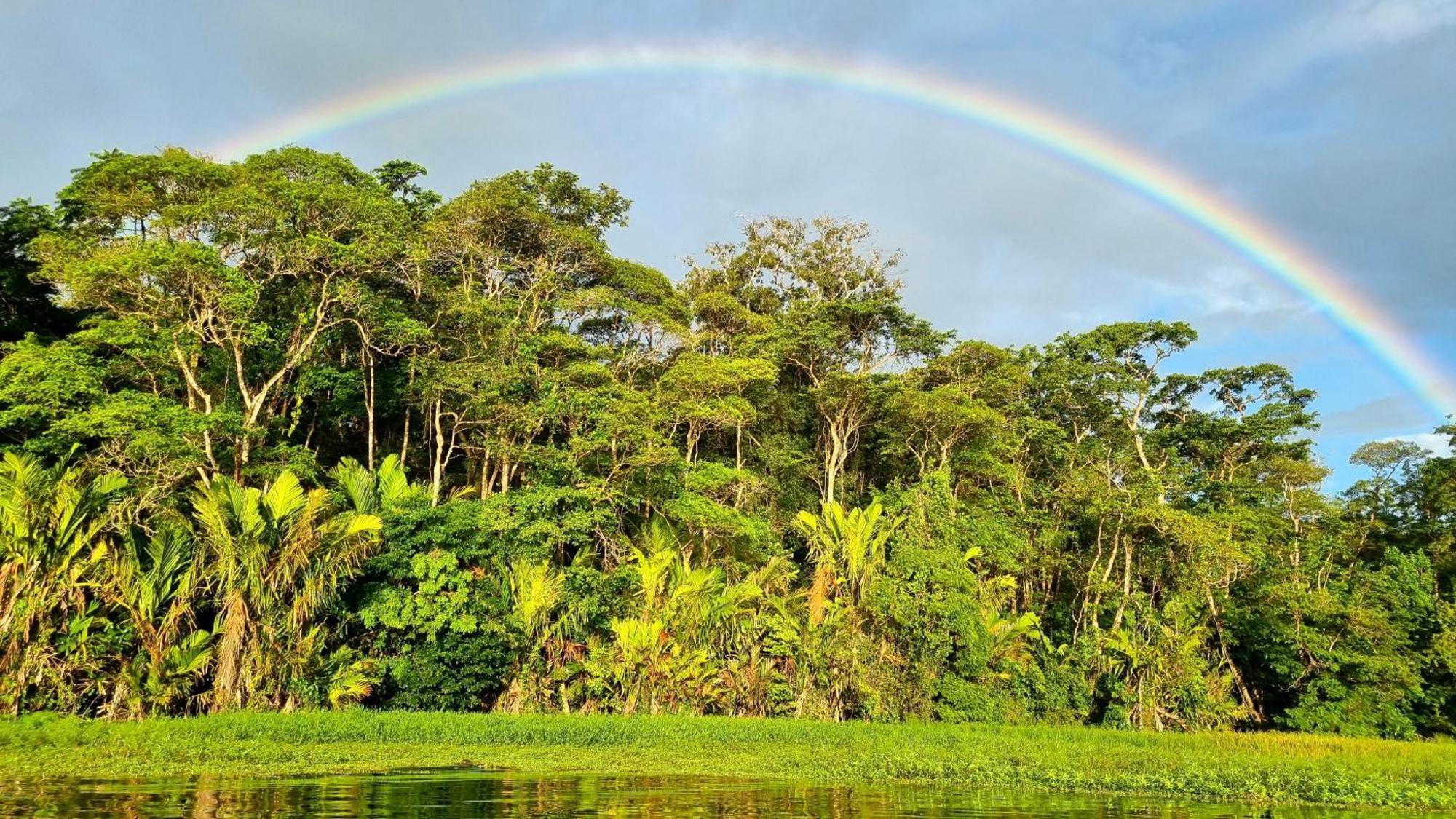 Hotel Wildlife Art Tortuguero Zewnętrze zdjęcie